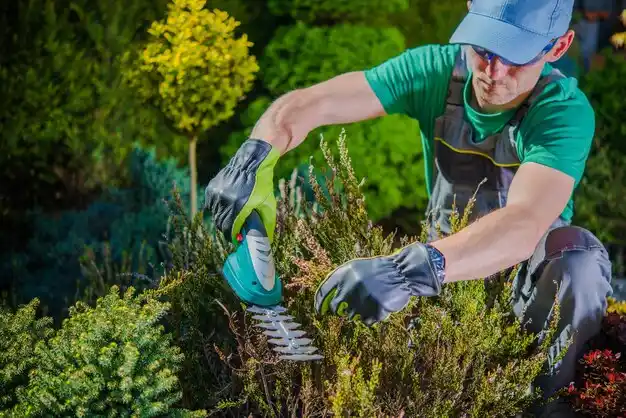 landscaping services Neffs